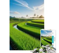 Puzzle de 1000 pièces pour Adolescents rizière au Lever du Soleil Idéal pour Un Anniversaire Noël ou Toute la Famille Jeu à partir de 14 Ans 50x75cm