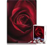 Puzzle de 1000 pièces pour Adolescents - Rose Rouge en Pleine Floraison - Un Jeu Unique et Stimulant, à la Fois Amusant et Original Dimensions : 38x26cm