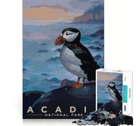 Puzzle de 1000 pièces pour Adolescents Voyage en Acadie, découpe Fine, Art, entraînement à la Concentration, Jeu Amusant et Calme, Cadeau de Noël (38x52cm)