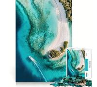 Puzzle de 1000 pièces pour Adolescents, Vue aérienne d'une île Tropicale, Assemblage précis, Jeu de Concentration Amusant, Loisirs, décoration Murale de Noël (50x75cm)