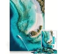 Puzzle de 1000 pièces pour Adolescents, Vue aérienne d'une île Tropicale, découpe Fine, Art, entraînement à la Concentration, Jeu Amusant et Calme, Cadeau de Noël (38x26cm)