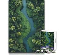 Puzzle de 1000 pièces pour Adolescents - Vue aérienne d'une rivière dans Une forêt luxuriante - Casse-tête - Jeu Familial - Décoration Murale idéale - Dimensions : 38x26cm