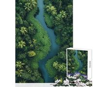 Puzzle de 1000 pièces pour Adolescents Vue aérienne d'une rivière dans Une forêt luxuriante Jeu éducatif Anti-Stress Jouet à Monter soi-même Stimule Le Cerveau (38x52cm)