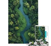 Puzzle de 1000 pièces pour Adolescents Vue aérienne d'une rivière dans Une forêt luxuriante Puzzle pour Adultes Jeux relaxants Décoration Parfaite Cadeaux Uniques pour Un Anniversaire ou Noël