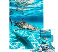 Puzzle de 1000 pièces pour Adolescents zèbre et Requin sous-Marin Jeu éducatif et Stimulant Jouet Familial Amusant et Original Cadeau d'anniversaire (Taille 38x52cm)