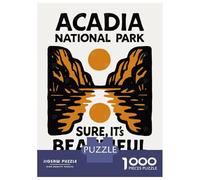 Puzzle De 1000 Pièces pour Adultes Acadia National Park Graphic Design Puzzle Casse-tête Jeu De Rapidité des Mains pour Les Joueurs 52x38cm/1000pcs