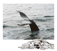 Puzzle de 1000 pièces pour Adultes - Baleines d'Islande - Photographie NTx - Puzzle carré pour Adultes et Puzzles en Papier - Décoration intérieure - Idée Cadeau de Noël - 38 x 26 cm / 1000 pièces