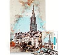 Puzzle de 1000 pièces pour adultes Berne Aquarelle Coupe nette Jouet d'adresse créatif Passe-temps Calme (50 x 75 cm)