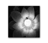 Puzzle de 1000 pièces pour Adultes - Bichon frisé aux Fleurs colorées - Puzzle Amusant sur Le thème des Chiens, Unique et Stimulant, Grand Format (50 x 70 cm)