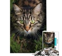 Puzzle de 1000 pièces pour Adultes Chat Marchant dans l'herbe Activités Amusantes à la Maison Cadeaux pour Femmes Jeux familiaux Convient aux Personnes de 14 Ans et Plus (38x26cm)