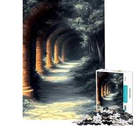 Puzzle de 1000 pièces pour Adultes Chemin en Pierre et Arche Paysage Japonais Jeu éducatif Cadeau d'anniversaire Unique (38x52cm)