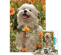 Puzzle de 1000 pièces pour Adultes Chien Heureux dans Un Champ de Fleurs Jeu d'analyse et de logique Complexe et Stimulant (38x52cm)