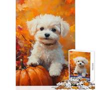 Puzzle de 1000 pièces pour Adultes Chiot Maltais avec des citrouilles en Automne Jeu Pratique pour améliorer la mémoire Décoration Murale Cadeau Anti-Stress (38x52cm)