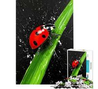 Puzzle de 1000 pièces pour Adultes Coccinelle sur Un Brin d'herbe Casse-tête découpe de précision Cadeau d'anniversaire (Taille 38x52cm)
