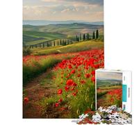 Puzzle de 1000 pièces pour Adultes Coquelicots Rouges de Toscane Jeu de détente Cadeau d'anniversaire Difficile et Stimulant (Taille 38x26cm)