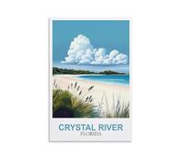 Puzzle de 1000 pièces pour Adultes - Crystal River, Floride - 52 x 38 cm. Un Cadeau Relaxant et Stimulant pour Adultes, Adolescents et Seniors.