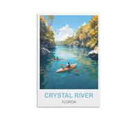 Puzzle de 1000 pièces pour Adultes, Crystal River, Floride : Un Puzzle Familial Festif et Stimulant. Illustration de qualité supérieure pour se détendre et décorer (52 x 38 cm).