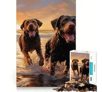 Puzzle de 1000 pièces pour Adultes Deux Labradors sur la Plage, pièces à découper, Jeu de réflexion, Moment de détente, scène de Noël (50x75cm)