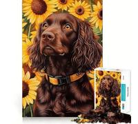 Puzzle de 1000 pièces pour Adultes Épagneul Boykin dans Un Champ de tournesolsJeu de réflexion créatif et Amusant pour Passer Le Temps,idéal comme Cadeau d'anniversaire (38x26cm)