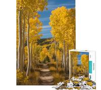 Puzzle de 1000 pièces pour adultes et adolescents Arbres de trembles d'automne le long d'un chemin Jeu de puzzle pour adolescents Décoration murale Améliore la mémoire Difficile et stimulant (50x75cm)