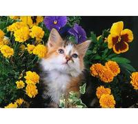 Puzzle de 1000 pièces pour Adultes et Enfants, Puzzle Madame Chat - Puzzle de 1000 pièces, Assemblage Facile grâce à Une Technologie de Pointe (26 x 38 cm)