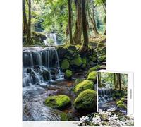 Puzzle de 1000 pièces pour Adultes Forêt Cascade et Chemin de Pierres Jeu de réflexion Activités familiales Jouet Anti-Stress Cadeau d'anniversaire Unique (38x52cm)