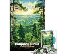 Puzzle de 1000 pièces pour Adultes Forêt de Białowieża Pologne/Biélorussie Jeu de réflexion pour Adolescents Une œuvre d'art Un Jeu Stimulant Cadeau (Dimensions 50x75cm)