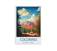 Puzzle de 1000 pièces pour Adultes - Forêt Nationale de Coconino - 70 x 50 cm - Un Cadeau Relaxant et Stimulant pour Adultes, Adolescents et Seniors