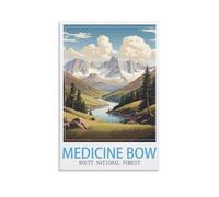 Puzzle de 1000 pièces pour Adultes - Forêt Nationale de Medicine Bow Routt - Jeu Stimulant pour Toute la Famille (Femmes et Hommes) - 50 x 70 cm