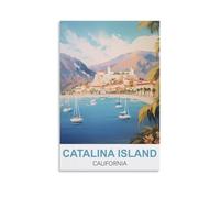 Puzzle de 1000 pièces pour Adultes - Île de Catalina, Californie - Puzzle en Papier de 1000 pièces - Jeu de décompression pour Adultes - 50 x 70 cm