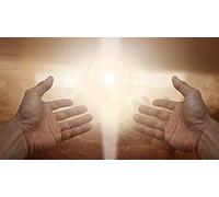 Puzzle de 1000 pièces pour Adultes, Jeu Familial, Jeu de cohésion d'équipe, Cadeau pour Les Amoureux ou Les Amis - Deux Loups Blancs - 26 x 38 cm