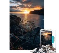 Puzzle de 1000 pièces pour Adultes Jigsaw Canico Madeira Jeu Manuel et éducatif Cadeau d'anniversaire pour Toute la Famille (Dimensions 75x50cm)