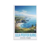 Puzzle de 1000 pièces pour Adultes, Julia Pfeiffer Burns State Park, Cadeau fabriqué à partir de Carton 100% recyclé - Puzzle rétro pour passionnés et collectionneurs 38 x 26 cm