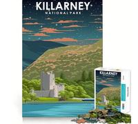 Puzzle de 1000 pièces pour Adultes Killarney Night Sky Art Fine Joint Fun Smart Challenge Fun Quiet Game Time Birthday Hobby Gift (50x75cm)