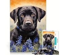 Puzzle de 1000 pièces pour Adultes Labrador Noir dans Les bleuets,pièces aux découpes nettes,activité cérébrale stimulante,Moment de détente et de Divertissement,Cadeau Artistique d'anniversaire