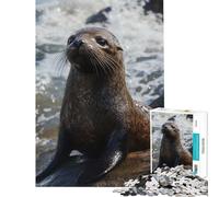 Puzzle de 1000 pièces pour Adultes Lion de mer sur rochers Jeu éducatif pour Femme (Dimensions 38x52cm)