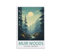 Puzzle de 1000 pièces pour Adultes - Monument National de Muir Woods - Jeu éducatif - Décoration intérieure - 38 x 52 cm