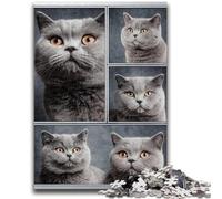 Puzzle de 1000 pièces pour Adultes, Motif Chat British Shorthair, Jeu Familial Anti-Stress, défi Difficile, Superbes Cadeaux et Jouets (38x26cm)
