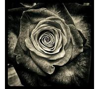 Puzzle de 1000 pièces pour Adultes, Motif Fille tribale, matériaux recyclés de Haute qualité et Impression Haute définition, Jeu Familial, Jeu de cohésion d'équipe, 50 x 70 cm