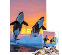 Puzzle de 1000 pièces pour Adultes Orques sautant au Coucher du Soleil dans des eaux glacées Jeu intellectuel Casse-tête Analyse et logique Cadeau pour Femmes et Hommes (Dimensions 38x26cm)