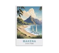 Puzzle de 1000 pièces pour Adultes - Parc d'État de Makena - Puzzle Classique de 1000 pièces pour Adolescents, garçons et Filles - 38 x 26 cm