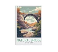 Puzzle de 1000 pièces pour Adultes - Parc d'État de Natural Bridge - Puzzle en Papier recyclé de 1000 pièces - Jeu Familial Amusant et Stimulant - Idée 26 x 38 cm