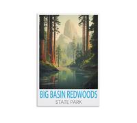 Puzzle de 1000 pièces pour Adultes, Parc d'État des séquoias de Big Basin, Cadeau fabriqué à partir de Carton 100% recyclé - Puzzle rétro pour passionnés et collectionneurs 38 x 26 cm