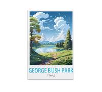 Puzzle de 1000 pièces pour Adultes : Parc George Bush, Texas. Jeu de Puzzle Stimulant de 38 x 52 cm.