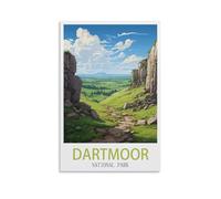 Puzzle de 1000 pièces pour Adultes - Parc National de Dartmoor - Puzzle de 1000 pièces pour Adultes et Enfants - Puzzle Familial Classique d'intérieur - 52 x 38 cm