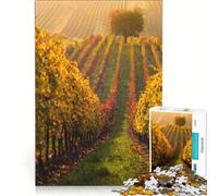 Puzzle de 1000 pièces pour Adultes Paysage d'automne dans Les vignes de Moravie 38x52cm Jeu de Construction, décoration, Cadeau Original pour Un Anniversaire ou Noël