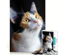 Puzzle de 1000 pièces pour Adultes Portrait de Chat Calico Découpe serrée Jeu de réflexion Amusant et Stimulant Activité de Loisirs et d'anniversaire (38x52cm)