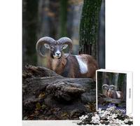 Puzzle de 1000 pièces pour Adultes Portrait majestueux d'un Mouflon dans Un décor forestier Décoration Murale Jeu de Manipulation Renforce l'amour Entre Couples Dimensions 50x75cm