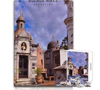 Puzzle de 1000 pièces pour Adultes, Puzzle Buenos Aires, Jeu Impossible, Cadeau pour Femmes, Jouet Anti-Stress, Dimensions 38x52cm