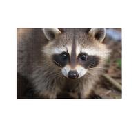 Puzzle de 1000 pièces pour adultes - Puzzles stimulants pour nuits de jeu - Puzzle en bois personnalisé pour photos de famille - Taille finie : 74,9 x 50 cm